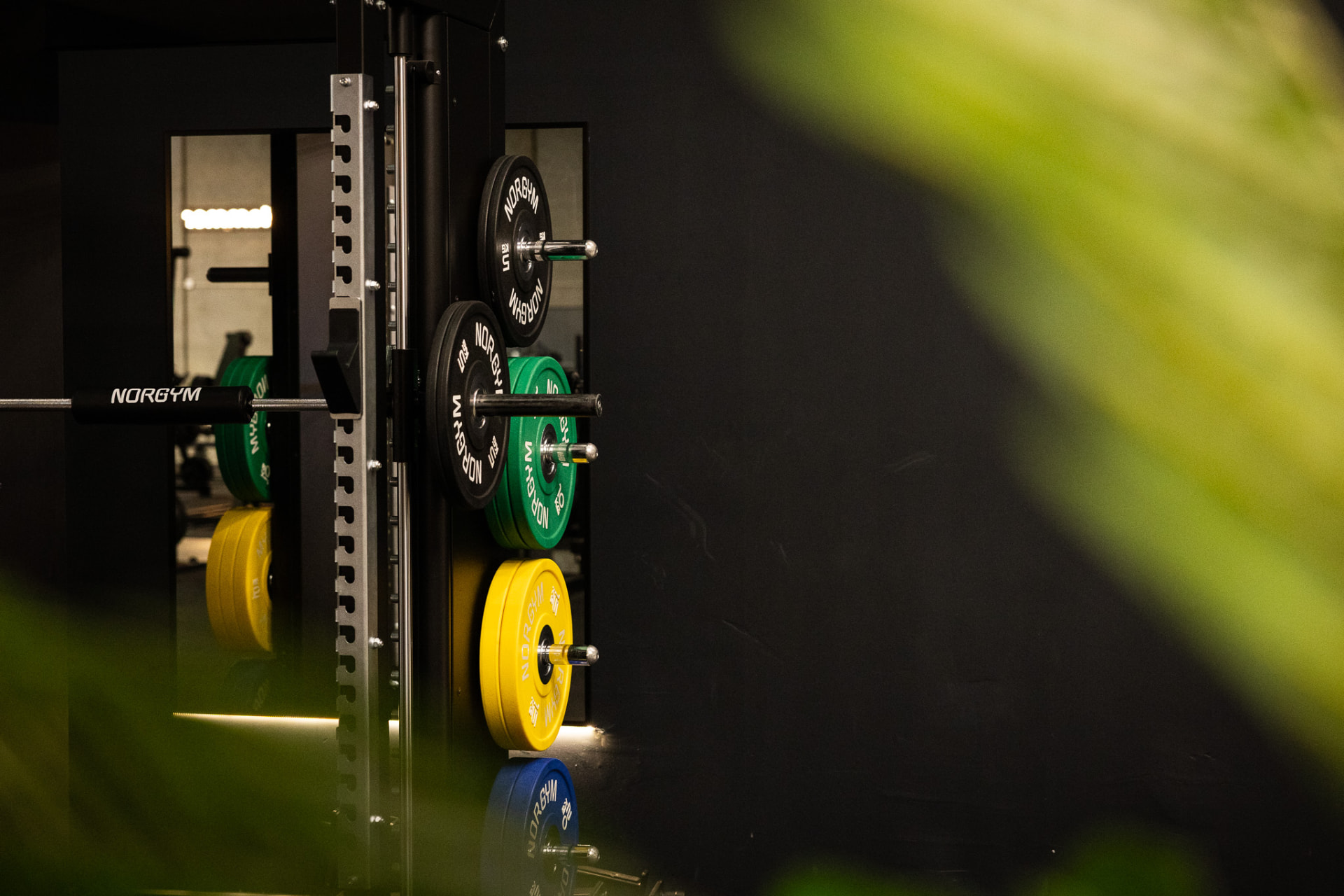 Vægtstang med farvede vægtskiver i moderne gym